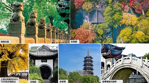 云顶国际·(中国)唯一官方网站
